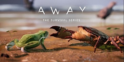 AWAY: The Survival Series