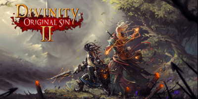 Divinity Original Sin 2 Definitive Edition