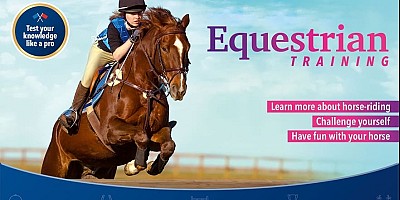 Equestrian Training