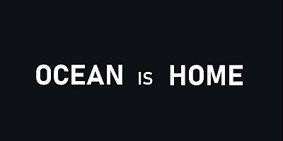 Ocean Is Home: Island Life Simulator