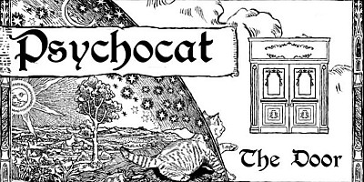 Psychocat: The Door