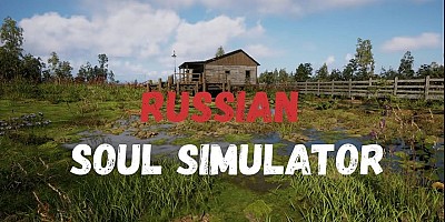 Russian Soul Simulator