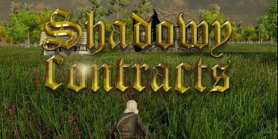 Shadowy Contracts