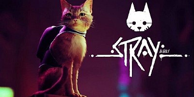 Stray