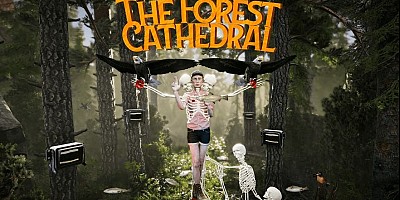 The Forest Cathedral